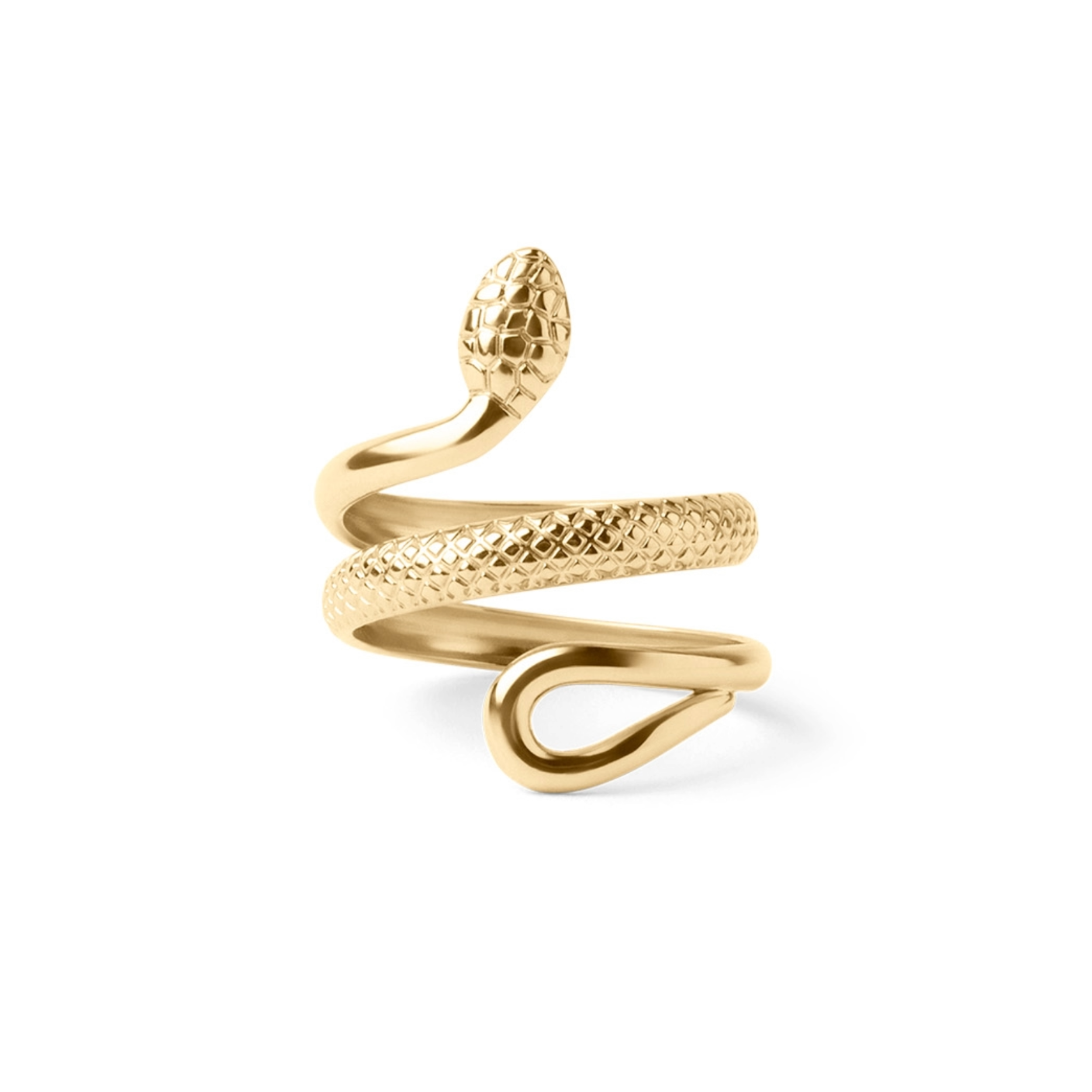 Eternal Ring