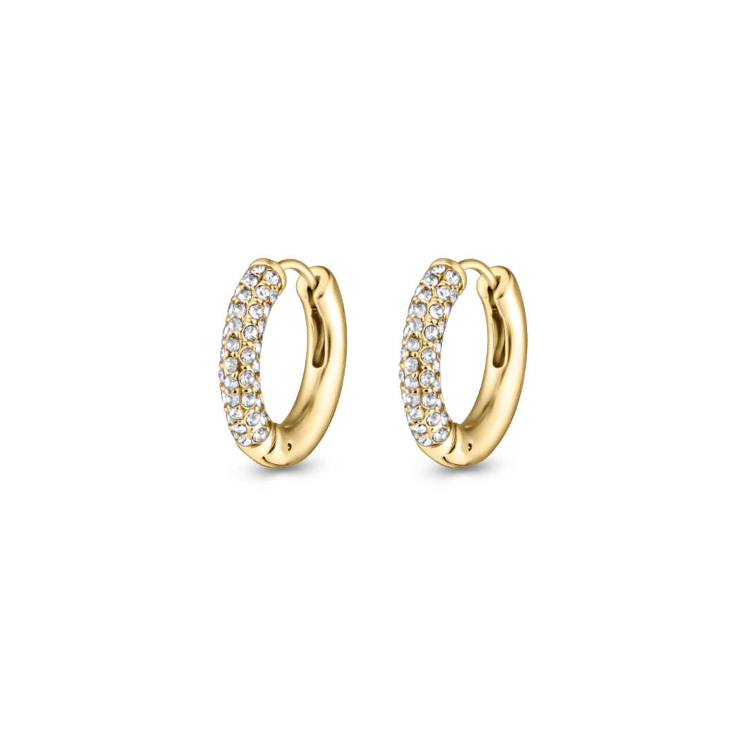 Frosty Earrings