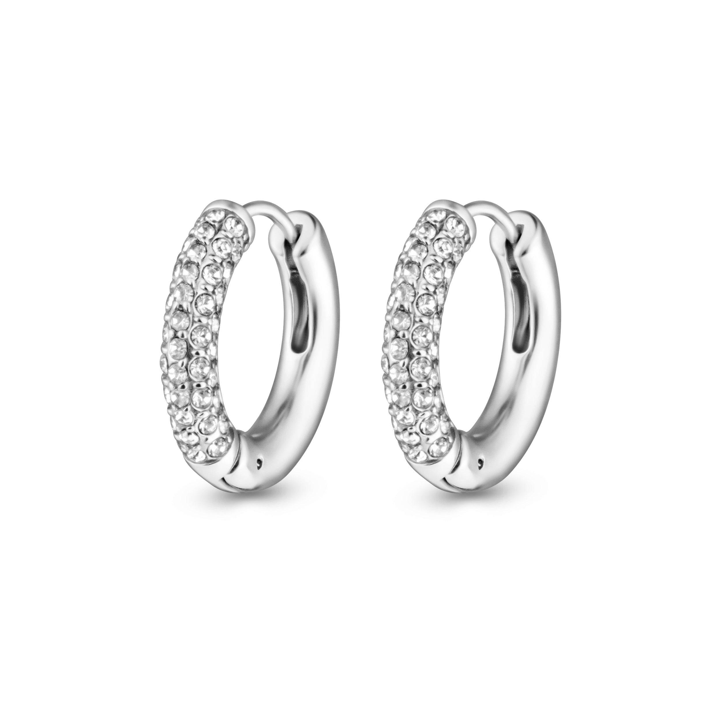 Frosty Earrings
