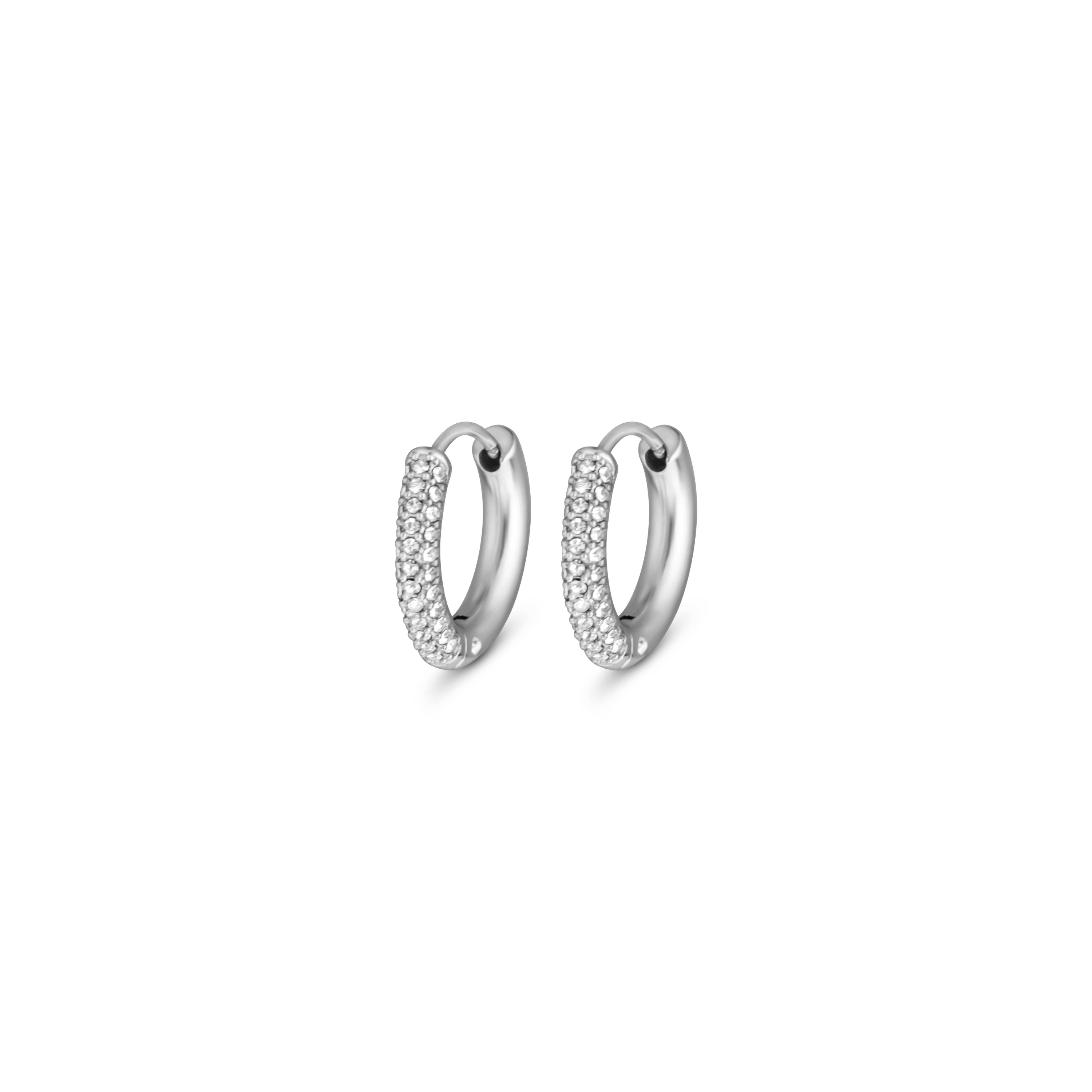 Luna Earrings Large