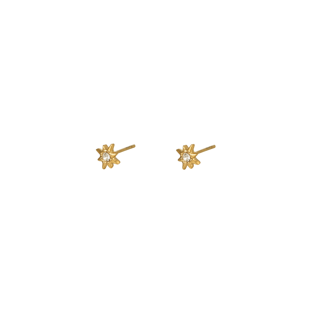 Falling star Earrings