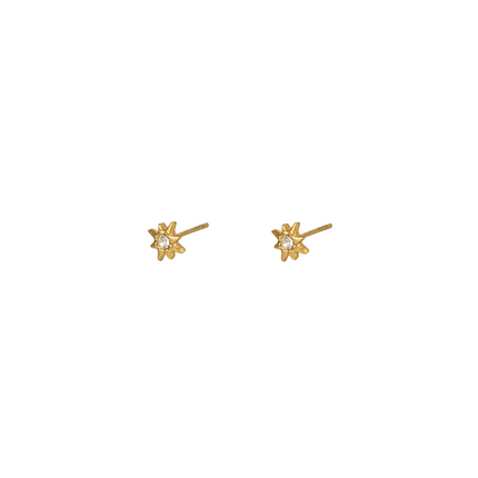 Falling star Earrings