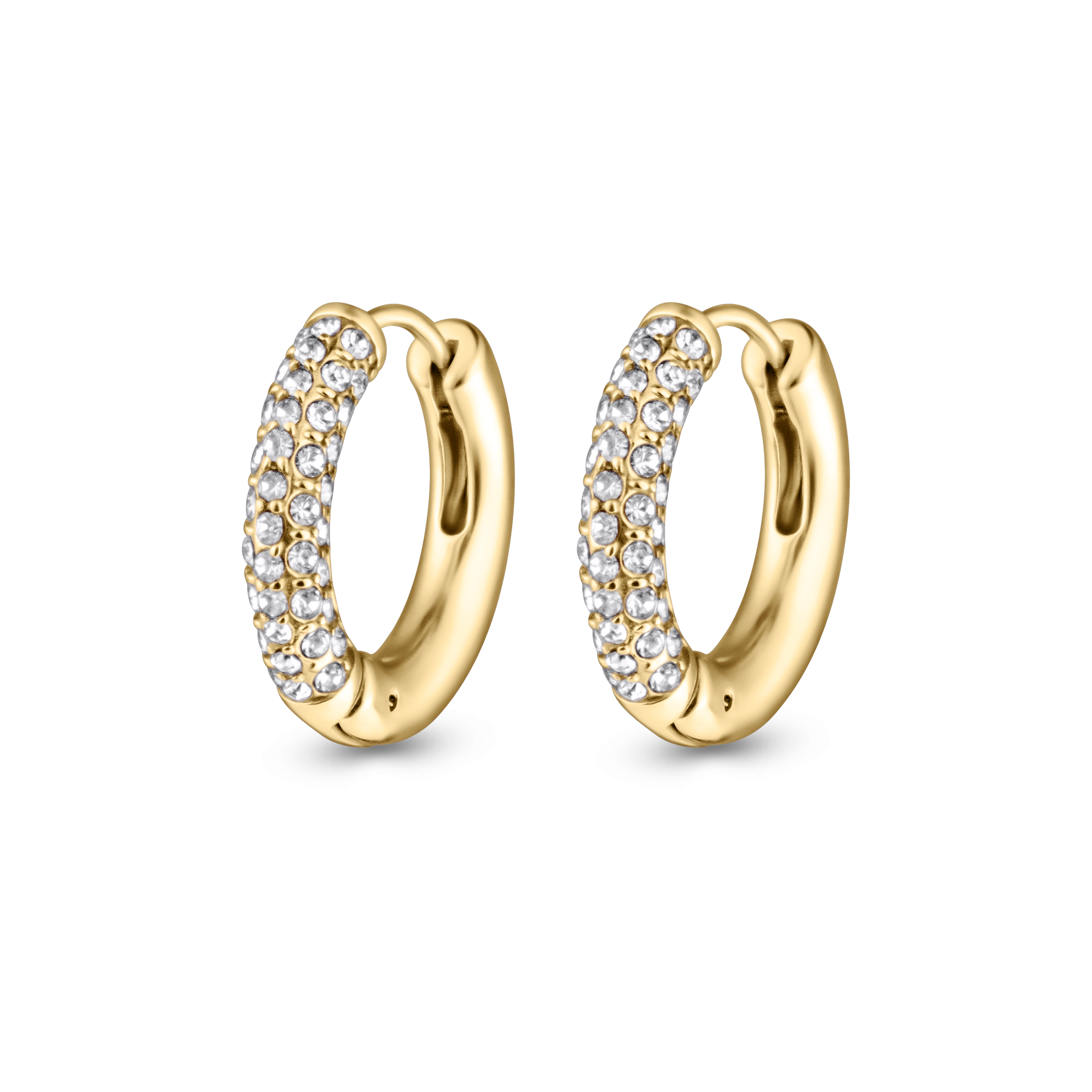 Frosty Earrings