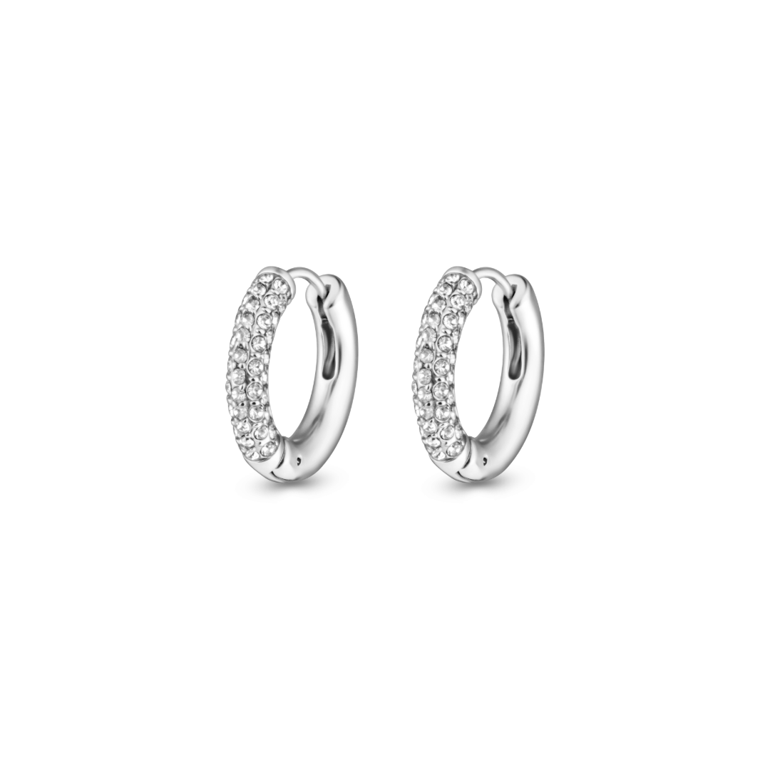 Frosty Earrings