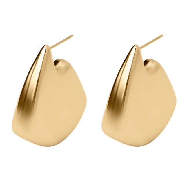 Noosh Earrings