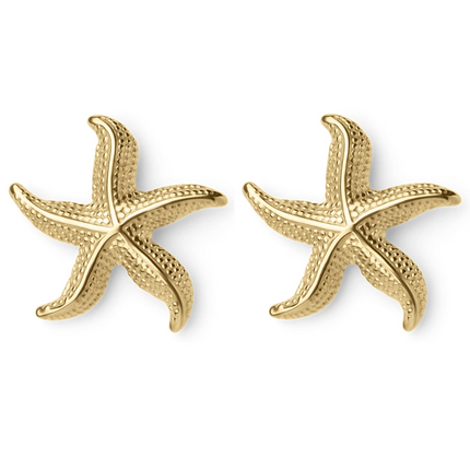 Sea star Earrings