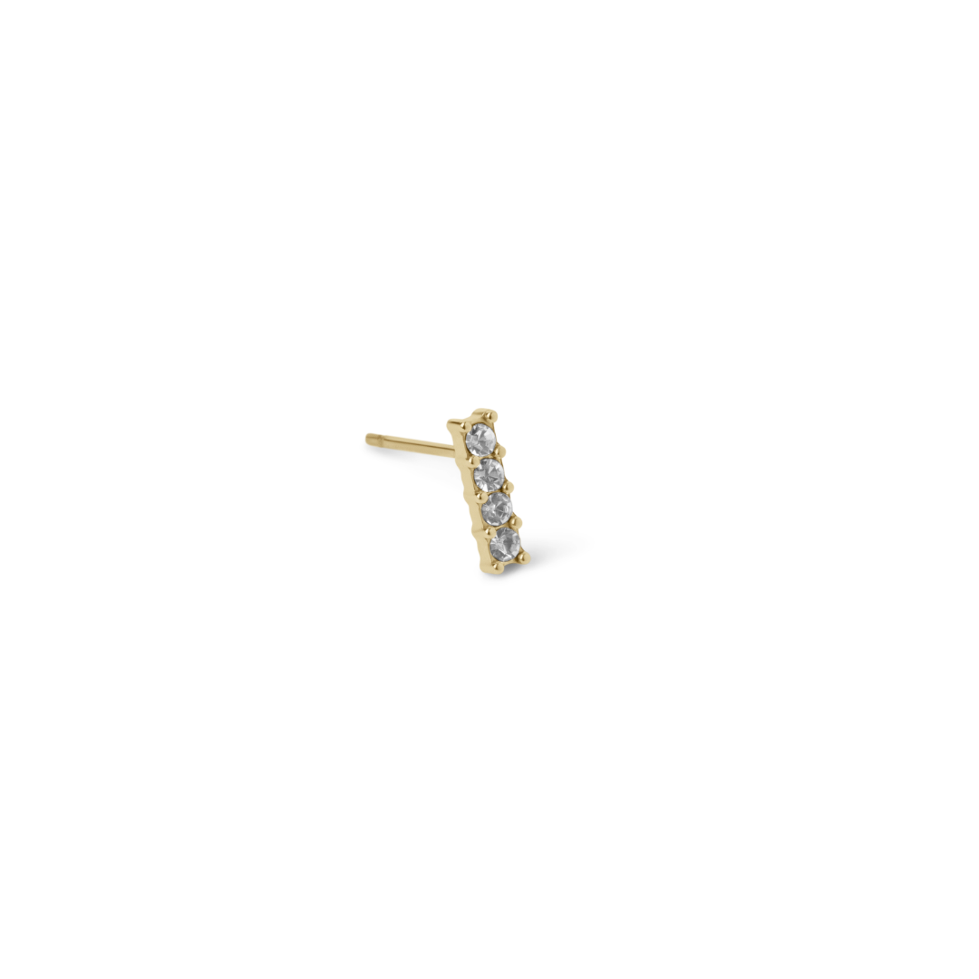 Secret Earrings