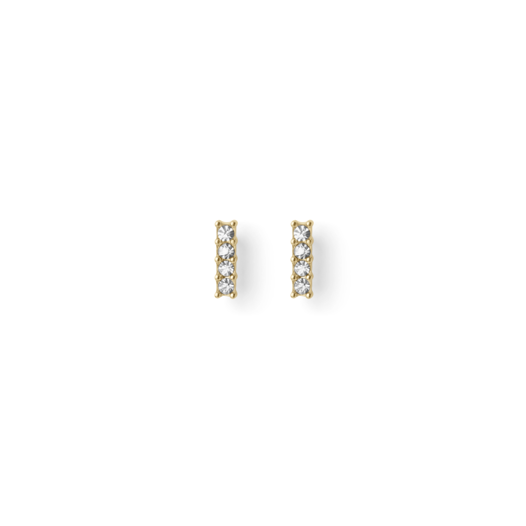 Secret Earrings