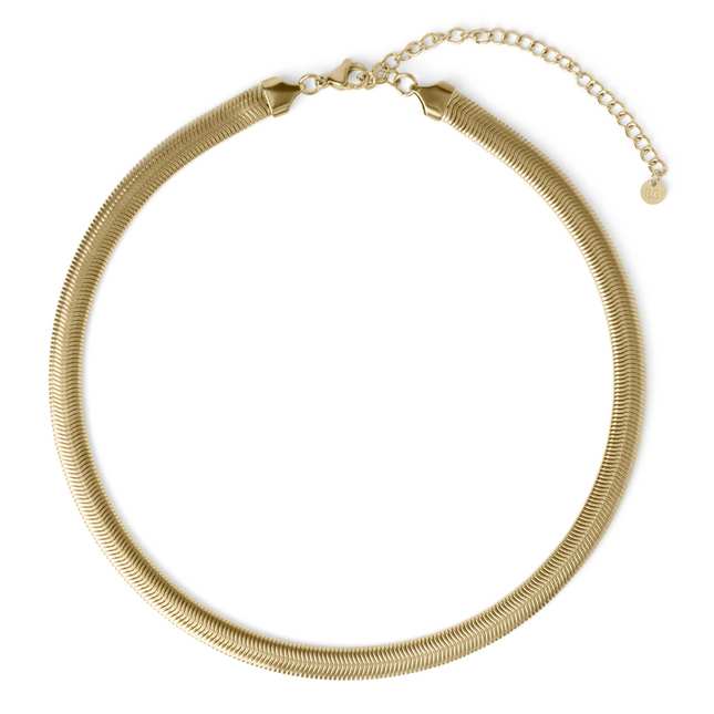 <tc>Survivor Necklace</tc>