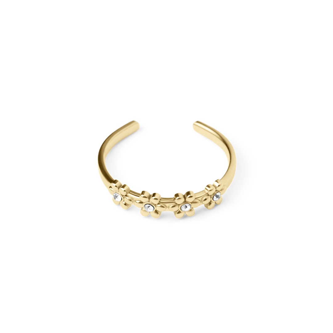 Suzie Ring