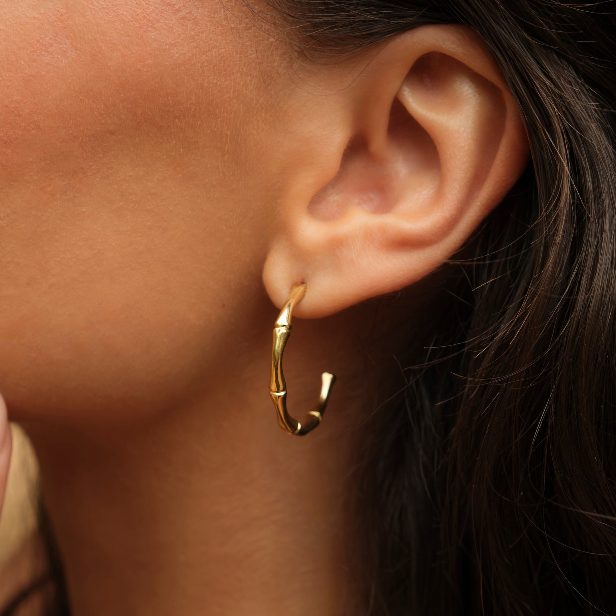 Bamboo Earrings